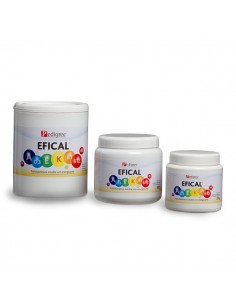 Efical Polvo x 250 grs.